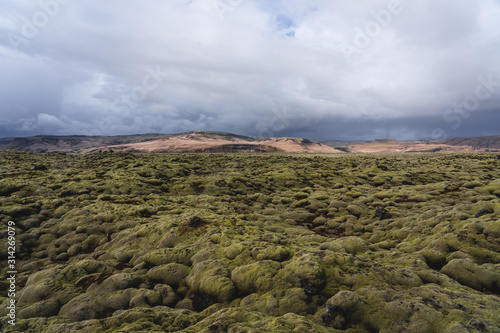 Lava moss field in South iceland