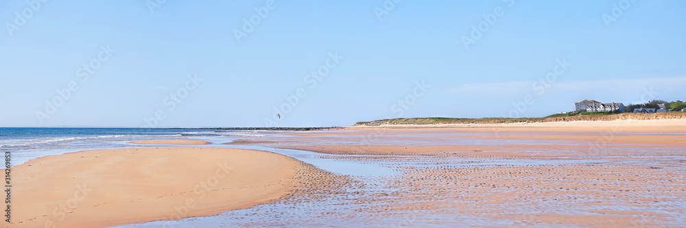 Brora beach with the tide full out on a cloudless sunny day with a lone seagull flying along the shore Brora beach with the tide full out on a cloudless sunny day with a lone seagull flying along the shore
