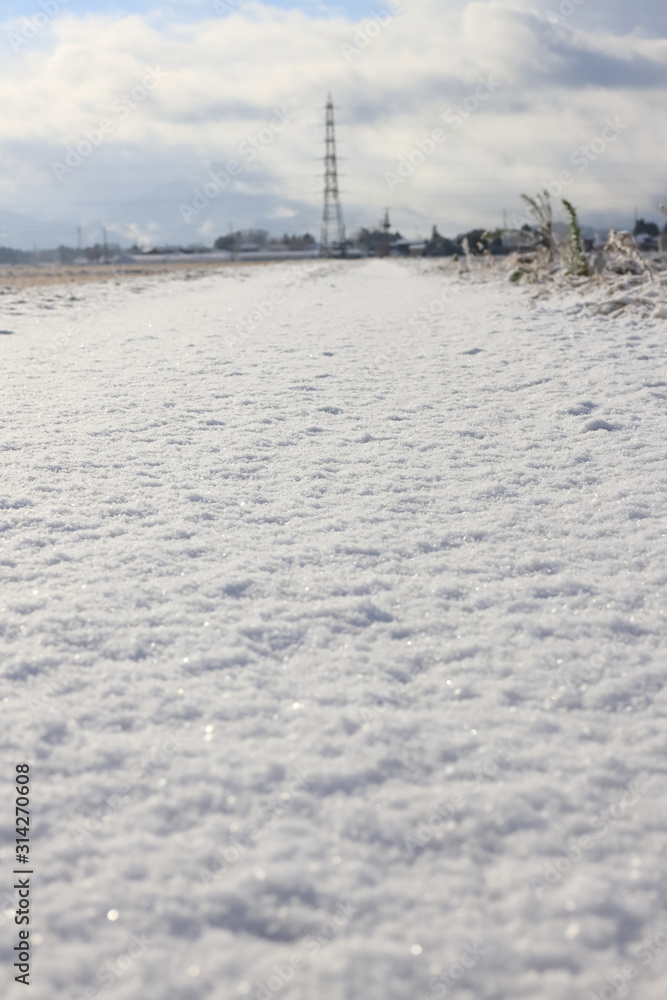 Fototapeta premium 新潟 日本