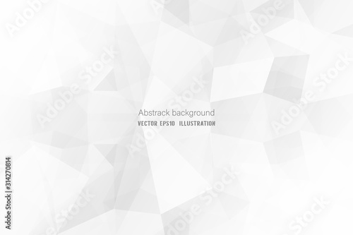 Abstract geometric white and gray polygon or lowpoly vector technology concept background.
