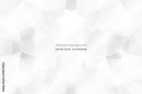 Abstract geometric white and gray polygon or lowpoly vector technology concept background.