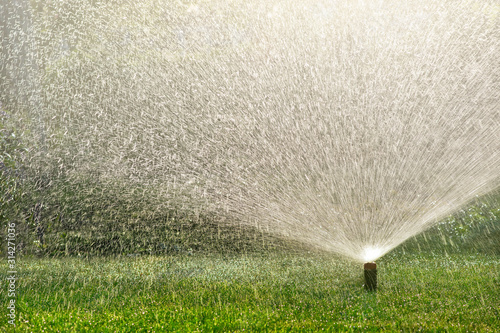 Water spraying from a lawn sprinkler on a sunny summer day.