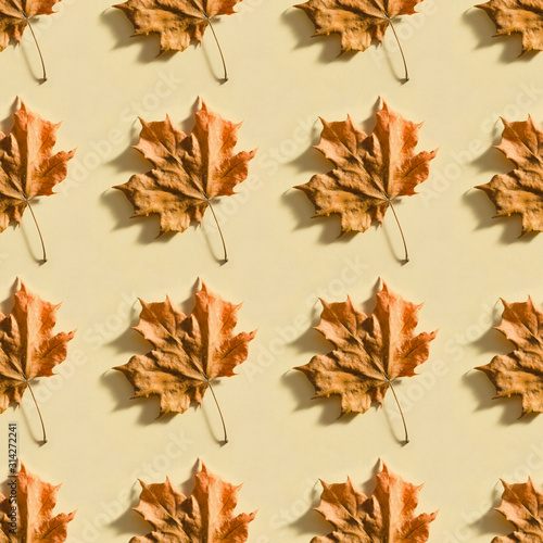 Seamless background with dry maple leaf on beige paper. Autumn foliage pattern