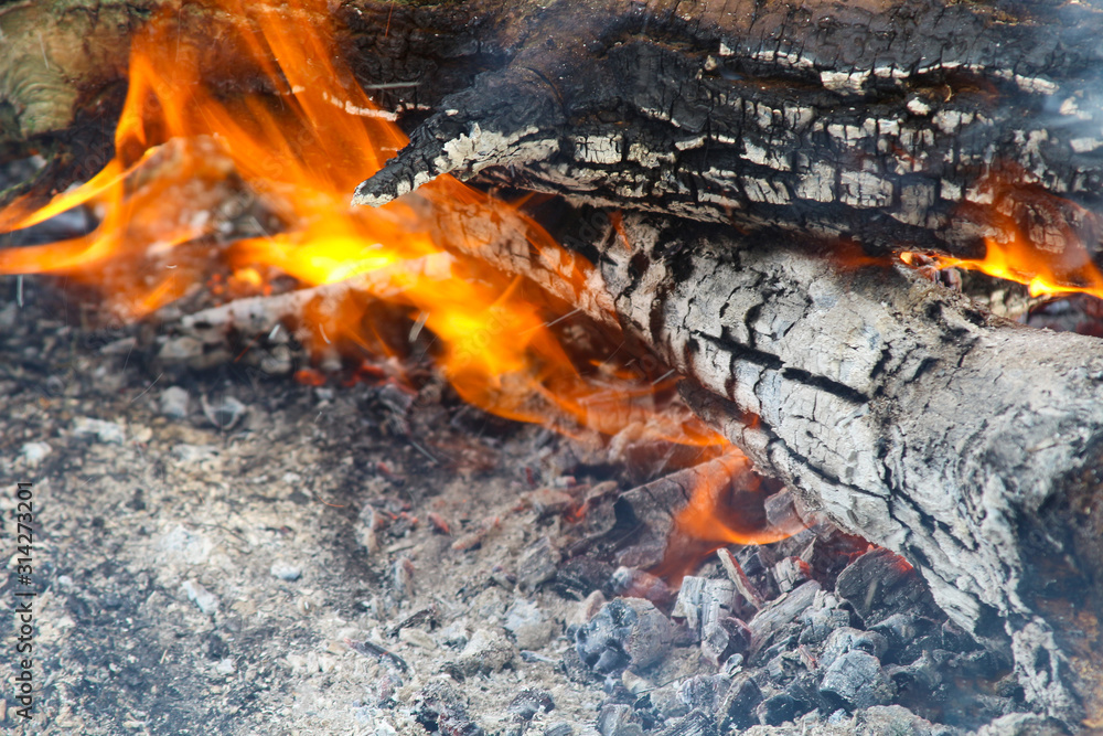 red Burning fire embers smoulder burnt tree red Burning fire embers smoulder burnt tree