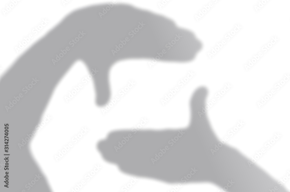 Concept modern abstract background of shadows hand on a white wall. White and Black for overlaying a photo or mockup Concept modern abstract background of shadows hand on a white wall. White and Black for overlaying a photo or mockup