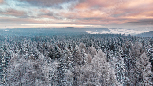 Sunrise Over Snowy Pine Trees. Beautiful Sky and Clouds. Aerial Drone View