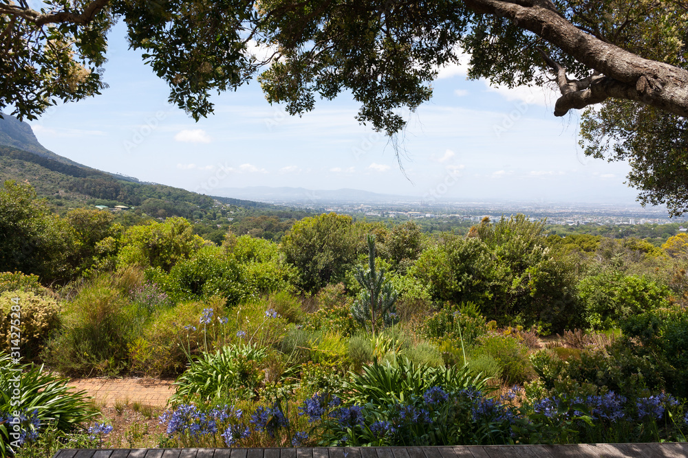 Fototapeta premium View of Cape Town from Viewpoint