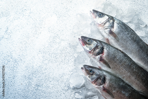 Fresh seabass fish on ice on white stone background, top view with copy space