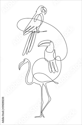Parrot, Toucan and Flamingo drawn with a thin, continuous line.