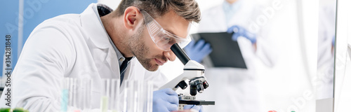 panoramic shot of molecular nutritionist using microscope in lab