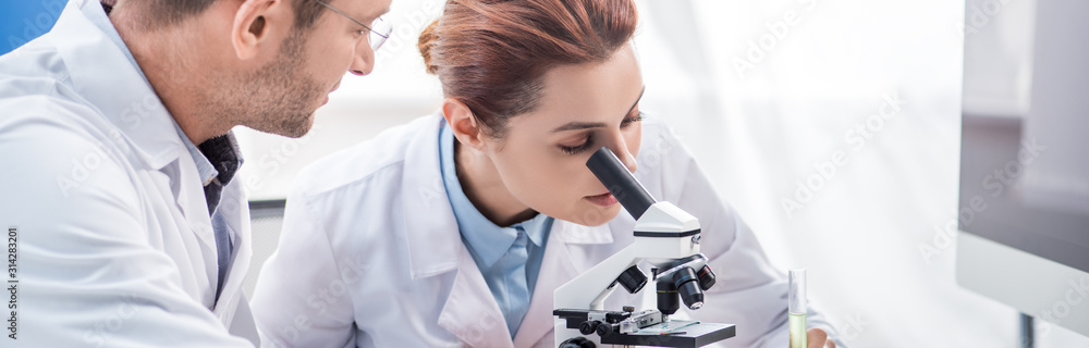 panoramic shot of molecular nutritionist looking at his colleague with microscope panoramic shot of molecular nutritionist looking at his colleague with microscope
