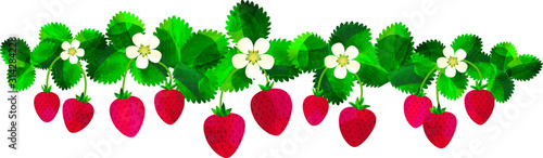 いちご 苺 葉っぱ 葉 花 ストロベリー 背景素材 ライン 枠 帯 Stock Vector Adobe Stock いちご 苺 葉っぱ 葉 花 ストロベリー 背景素材 ライン 枠 帯 Stock Vector Adobe Stock