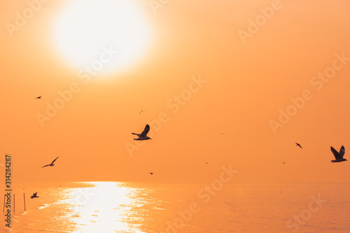 Morning sunrise over the sea and a seagull birds on the orange sky.