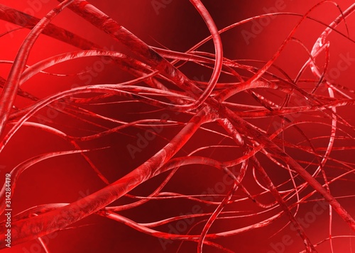 Blood vessels. Circulatory system. Veins and arteries. Abstraction,
