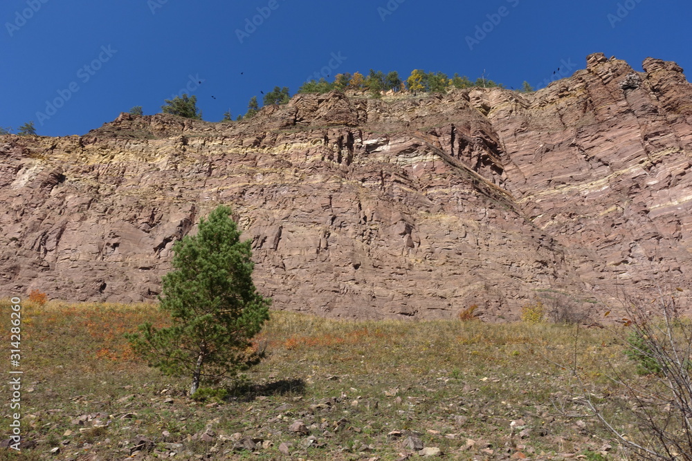 Fototapeta premium Brown rocks and green tree on a background of blue sky