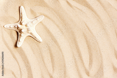Sand and starfish, travel summer background