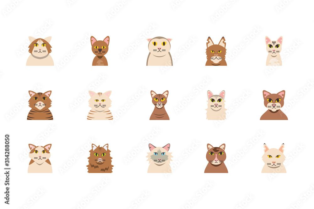 Obraz premium Isolated set of cute white and brown cats cartoons vector design