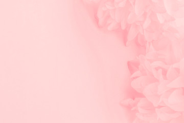 Beautiful abstract color white and pink flowers on white background and white flower frame and orange leaves background texture, flowers banner, pink background