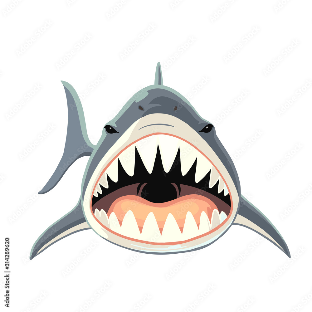 凶暴なサメの正面イラスト Stock Vector Adobe Stock
