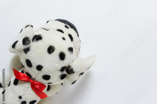 Little kid children toy plush dalmatian dog with black spots and re satin bow on white background. photo