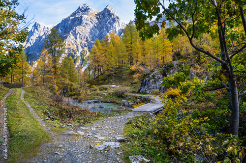 Autumn alpine stream view from mountain hiking path to Tappenkarsee, Kleinarl, Land Salzburg, Austria.