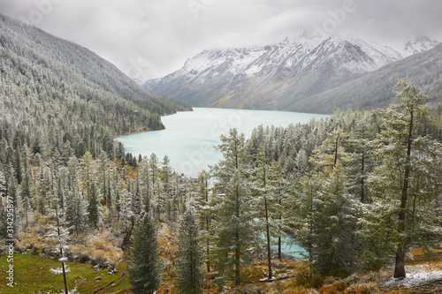 Mountains, winter snowy forest.