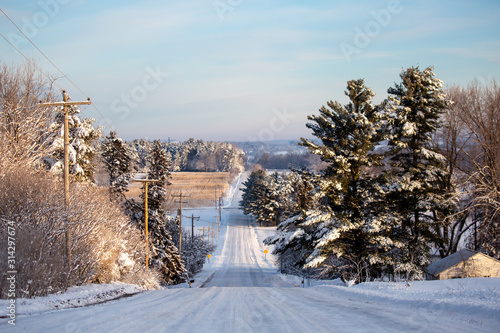 Snow covered corn field in central Wisconsin that has not been harvested yet on January 1, 2020 due to the wet autumn and early snow of 2019 photo