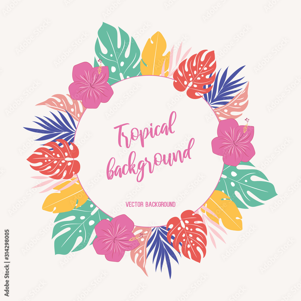 Vector tropical frame Vector tropical frame