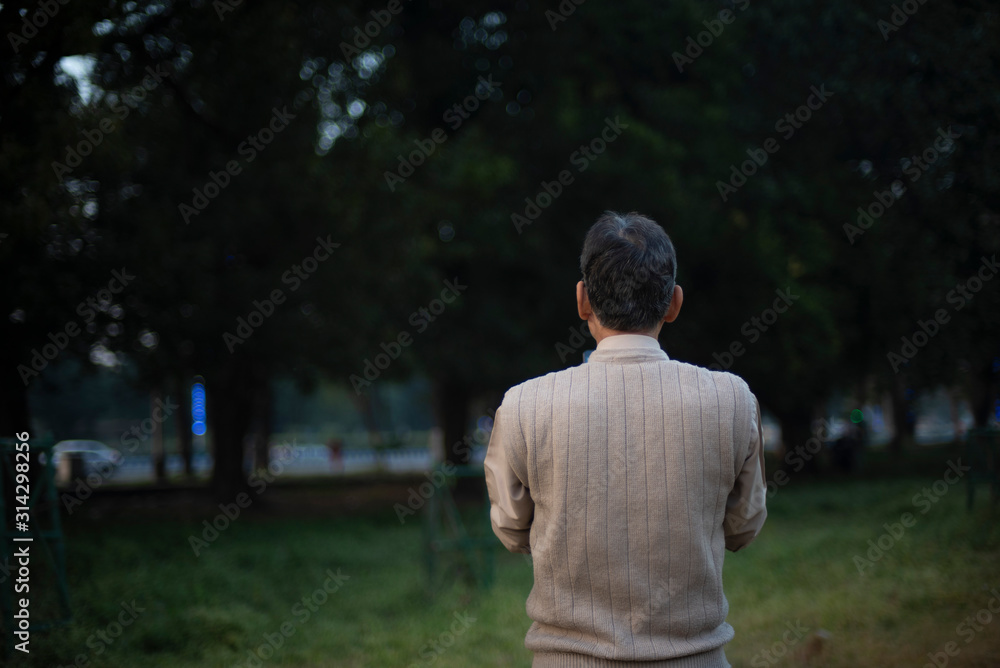 Back side portrait of an old Indian Bengali man in woolen sweater taking photograph of sky and trees by his cellphone in a field in winter afternoon in green background. Indian lifestyle and winter.