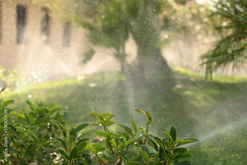 on a green lawn  watering systems  watering plants and flowers in the sun