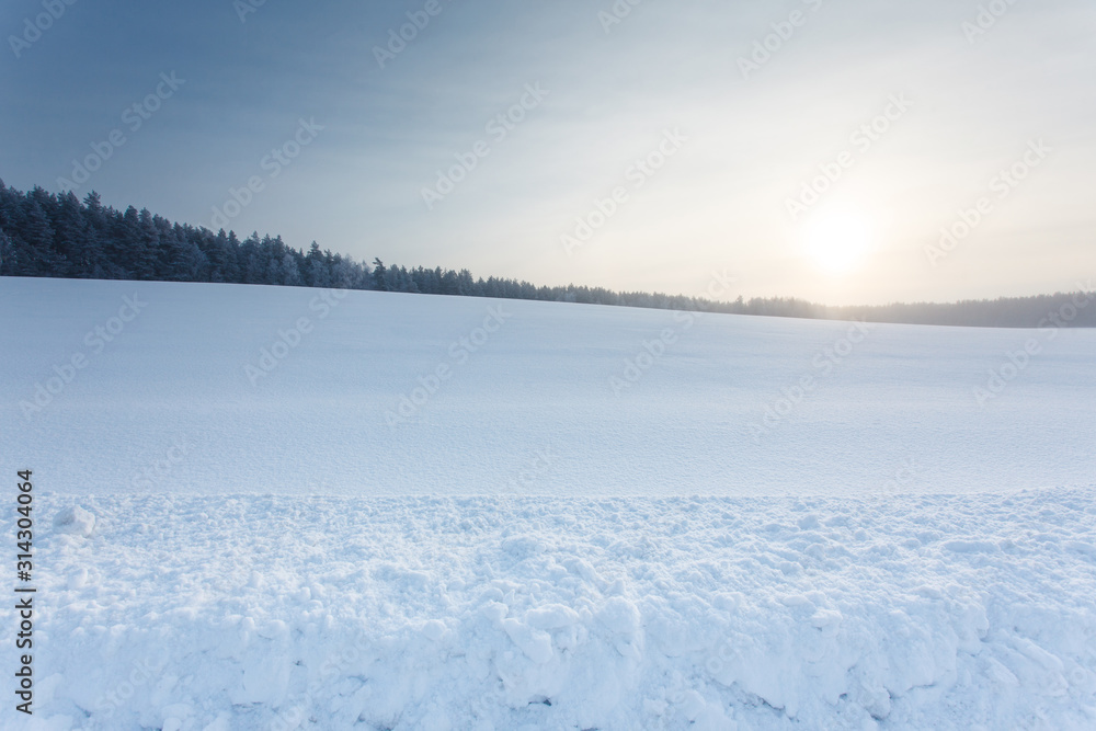 winter landscape with the forest and the sun