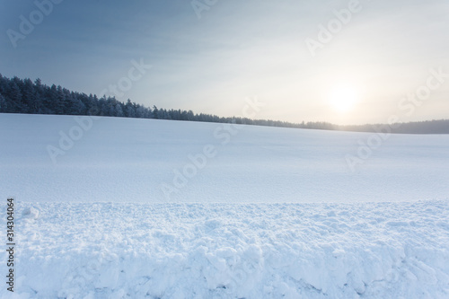 winter landscape with the forest and the sun