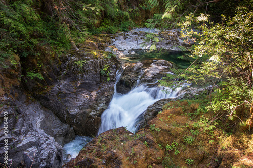 Wild river flow through the jungle  Qualicum Falls  Vancouver Island  BC  Canada