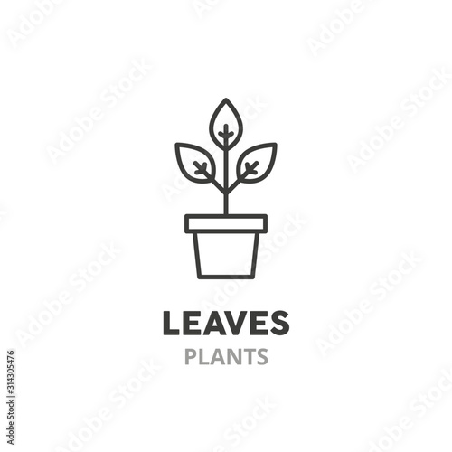 Leaves, plant in pot line icon. Home gardening, planting vector illustration, isolated on white background.