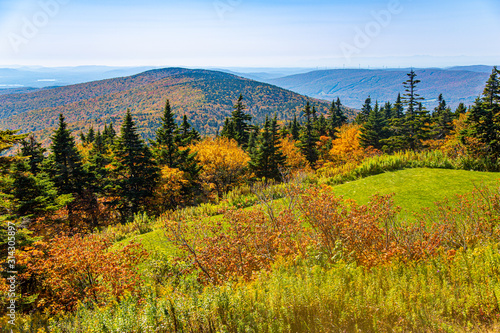 View from the top of Mount Greylock in Massachusetts photo