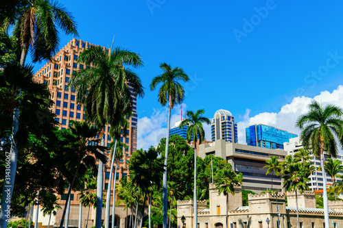 cityscape in the city center of Honolulu  Oahu  Hawaii