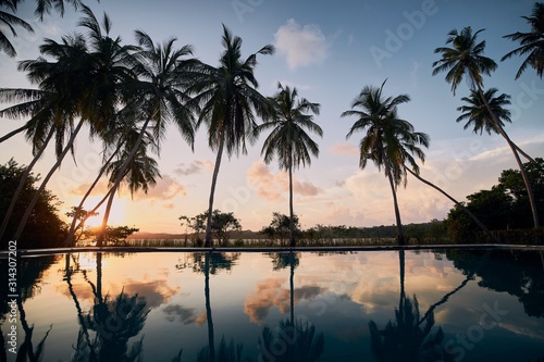 Swimming pool in the middle of coconut palm trees