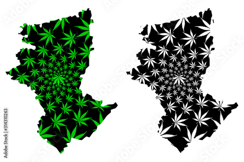 Kostanay Region (Republic of Kazakhstan, Regions of Kazakhstan) map is designed cannabis leaf green and black, Kostanay map made of marijuana (marihuana,THC) foliage.... photo