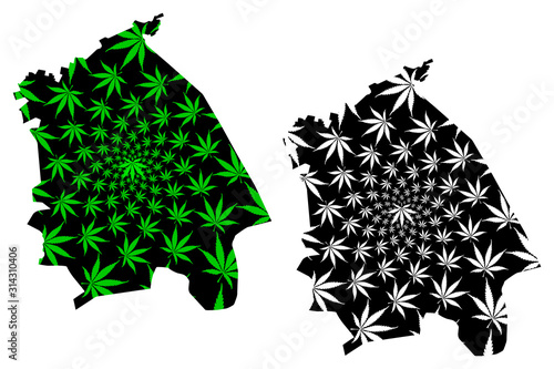 Pavlodar Region (Republic of Kazakhstan, Regions of Kazakhstan) map is designed cannabis leaf green and black, Pavlodar map made of marijuana (marihuana,THC) foliage.... photo