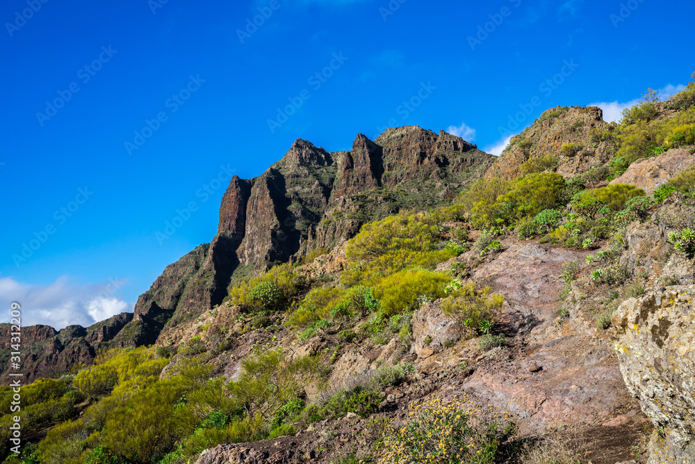 Spain, Tenerife, Green plant covered mountains nature landscape of masca with blue sky