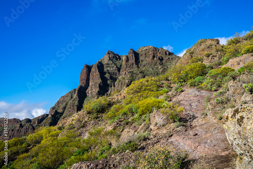 Spain, Tenerife, Green plant covered mountains nature landscape of masca with blue sky © Simon