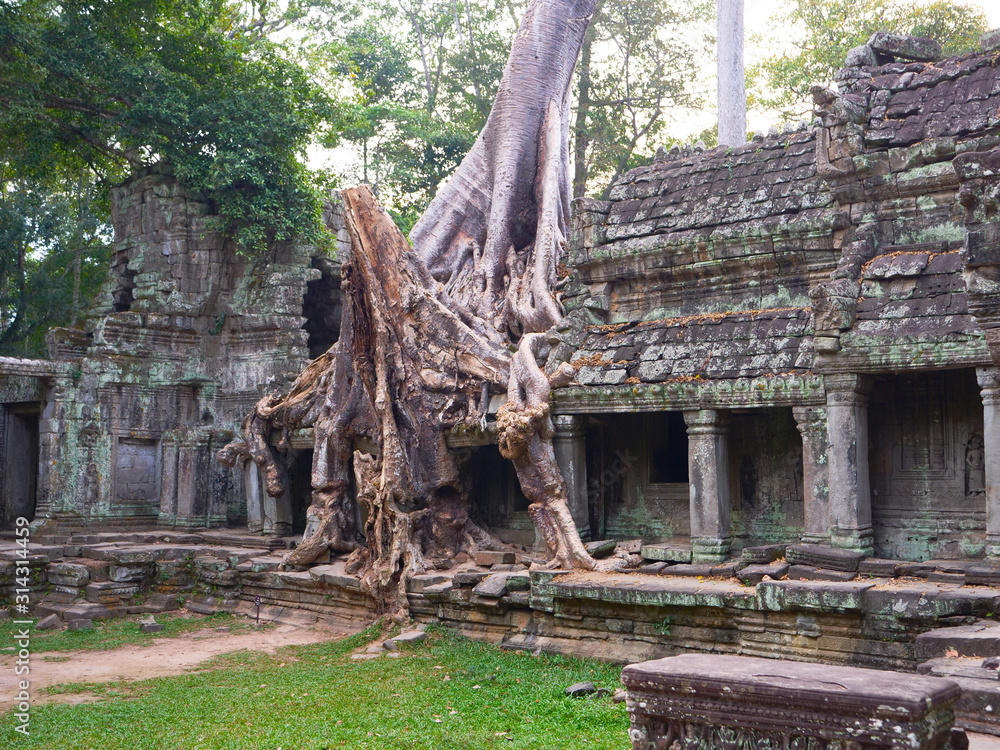 Landscape view of demolished stone architecture and aerial tree root at Preah Khan temple Angkor Wat complex, Siem Reap Cambodia. A popular tourist attraction nestled among rainforest. Landscape view of demolished stone architecture and aerial tree root at Preah Khan temple Angkor Wat complex, Siem Reap Cambodia. A popular tourist attraction nestled among rainforest.