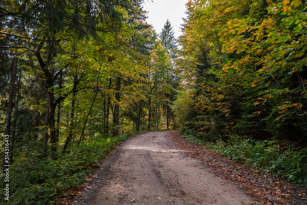 Sandy path with forest on both sides, crowns of trees are getting yellow on autumn season. Sandy path with forest on both sides, crowns of trees are getting yellow on autumn season.