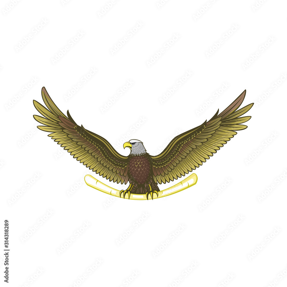 Fototapeta premium wild eagle vector logo template