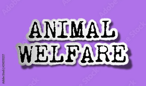 Animal Welfare - Flat Tattered Paper Words on Pink Background - Concept Graphic Symbol Illustration