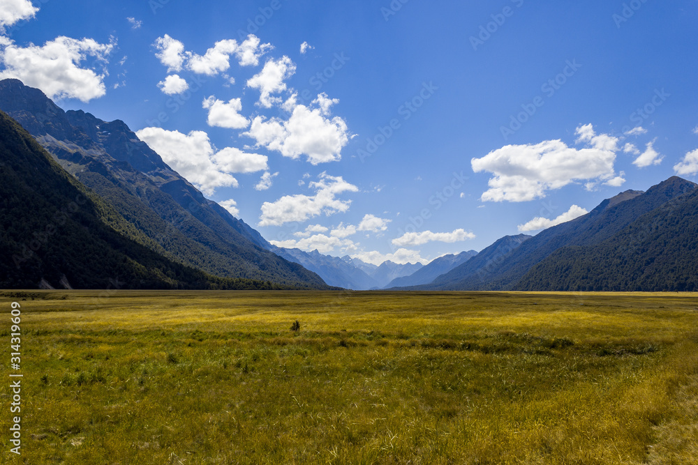 Beautiful meadow field landscape in Eglinton Valley on Te Anau-Milford Highway road, Fiordland National Park, South Island, New Zealand.