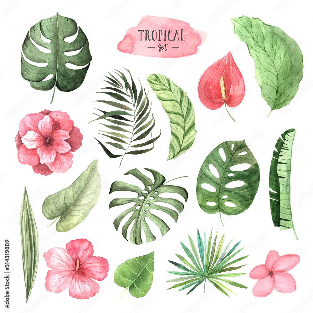 Fototapeta premium Watercolor tropical flowers, leaves and plants