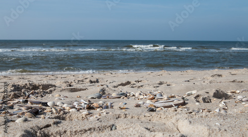 Sandstrand mit Muscheln auf der Insel Sylt