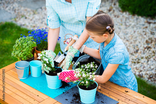 Mother and daughter planting flowers in pots in the garden - concept of working together, closeness, spending leisure time with family