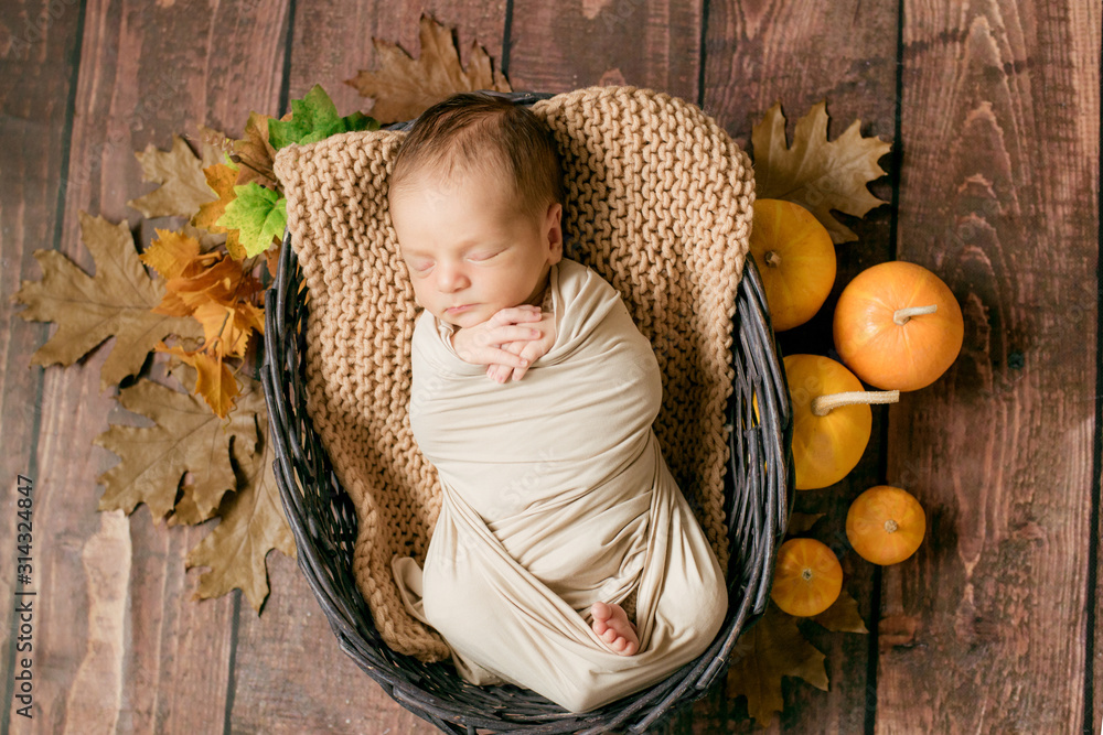 Cute little baby sleeps in a wicker basket of twigs with yellow leaves